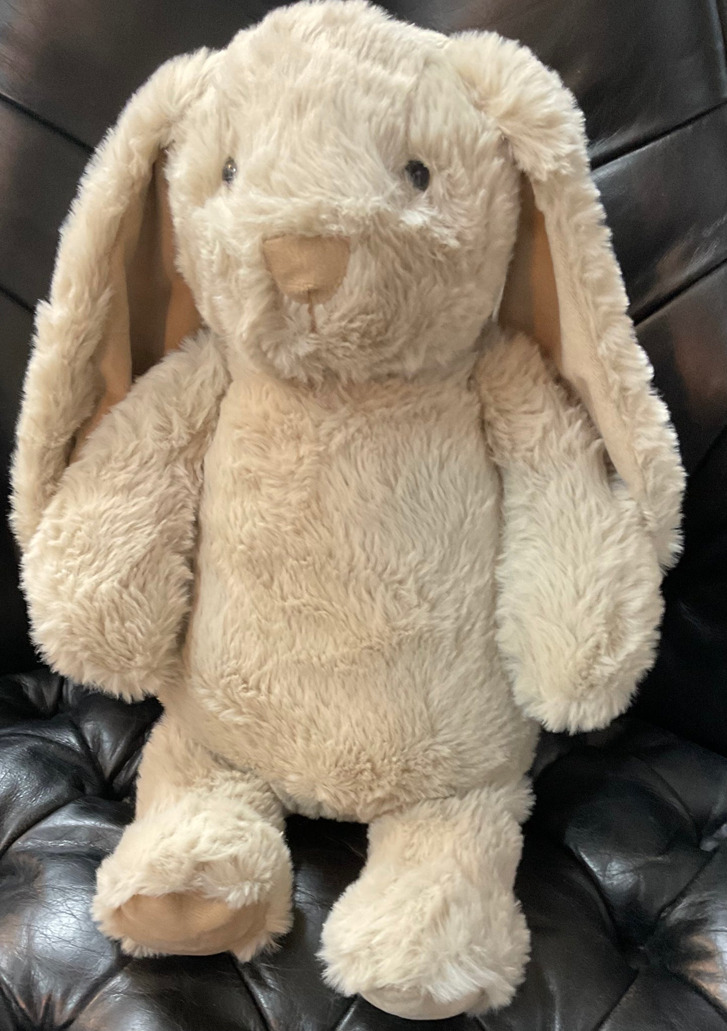 Thumper Bunny Biscuit