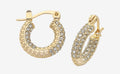 Pascal Gold Earring