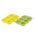 Citrus Silicone Ice Moulds