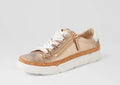 Torayne Champagne Multi - Emelda's Shoes