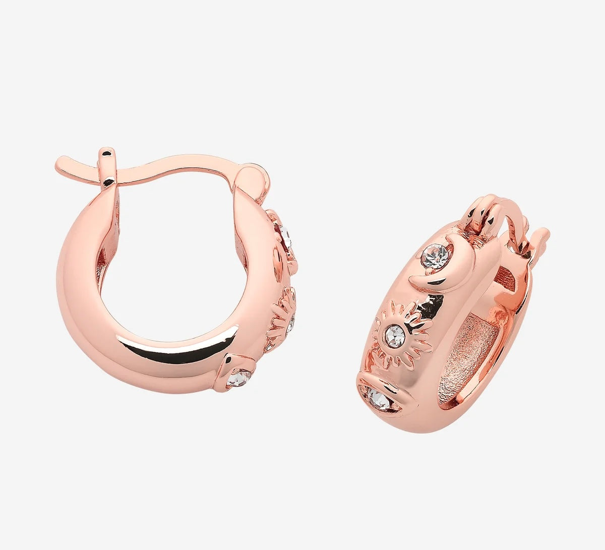 Rumi Rose Gold Earring