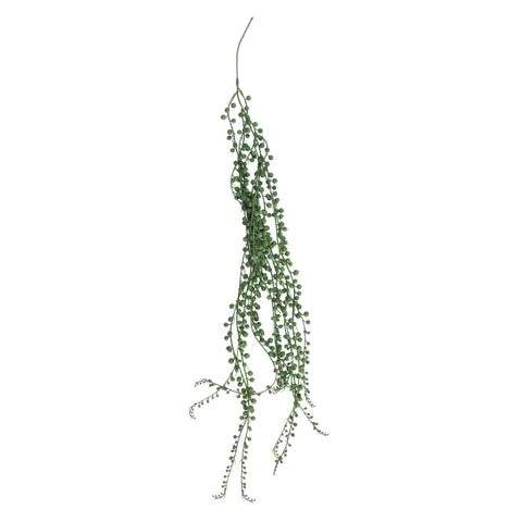 Hanging Ragworts Succulent Spray - Emelda's Shoes