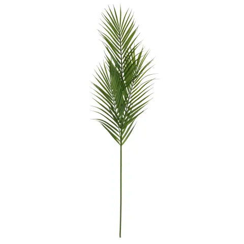 Areca Palm Stem