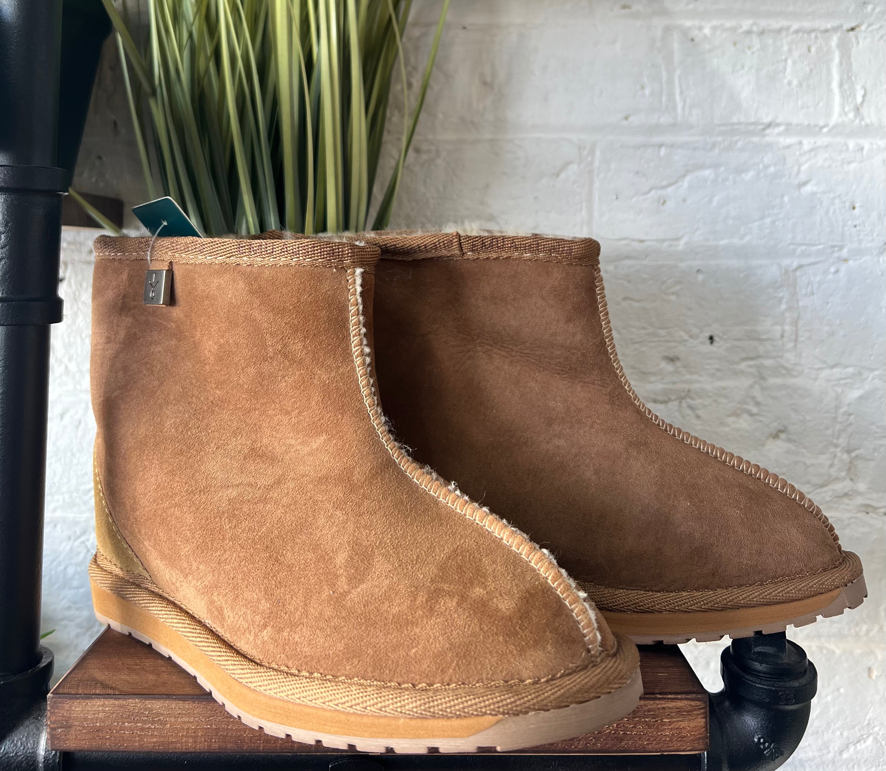 Darwin - Emelda's Shoes